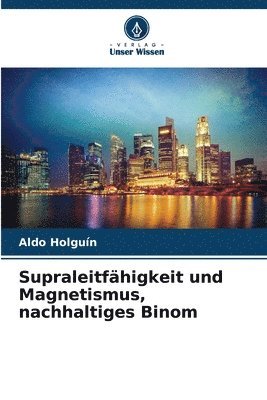 Aldo Holguín - Supraleitfähigkeit und Magnetismus, nachhaltiges Binom, Häftad