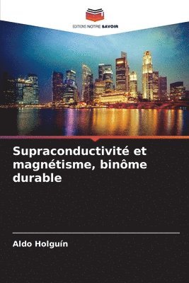 bokomslag Supraconductivit et magntisme, binme durable