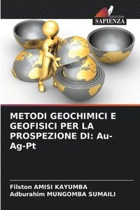 bokomslag Metodi Geochimici E Geofisici Per La Prospezione Di