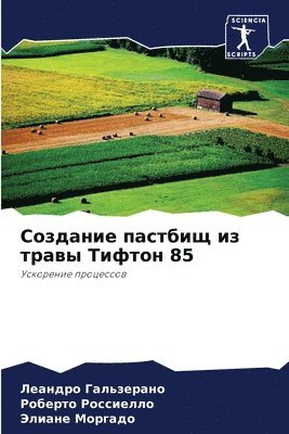 Создание пастбищ из травы Тифтон 85