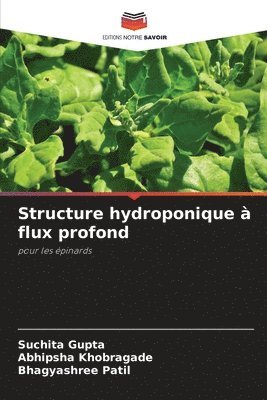 Structure hydroponique  flux profond 1