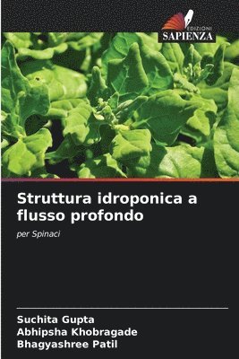 Struttura idroponica a flusso profondo 1