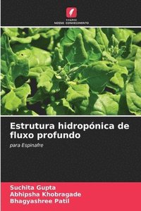 bokomslag Estrutura hidropnica de fluxo profundo