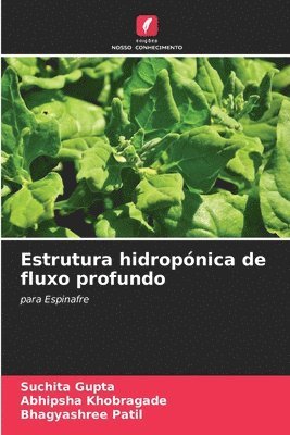 bokomslag Estrutura hidropnica de fluxo profundo