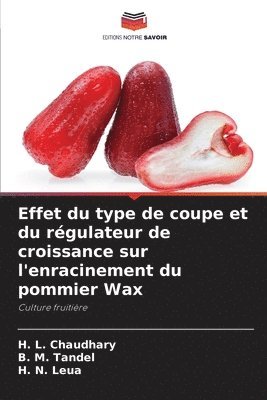 H L Chaudhary, B M Tandel, H N Leua, H. L. Chaudhary, B. M. Tandel, H. N. Leua - Effet du type de coupe et du régulateur de croissance sur l'enracinement du pommier Wax, Häftad