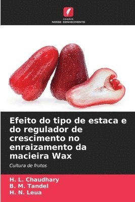 bokomslag Efeito do tipo de estaca e do regulador de crescimento no enraizamento da macieira Wax