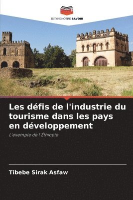 Tibebe Sirak Asfaw - Les défis de l'industrie du tourisme dans les pays en développement, Häftad