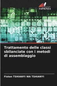 bokomslag Trattamento delle classi sbilanciate con i metodi di assemblaggio