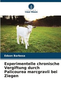 bokomslag Experimentelle chronische Vergiftung durch Palicourea marcgravii bei Ziegen