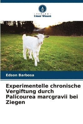 Experimentelle chronische Vergiftung durch Palicourea marcgravii bei Ziegen