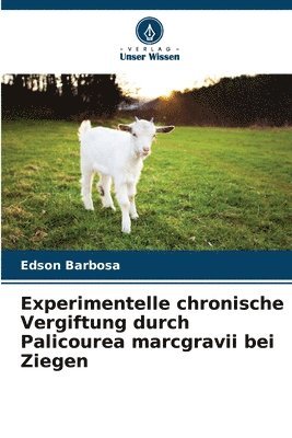 Experimentelle chronische Vergiftung durch Palicourea marcgravii bei Ziegen 1