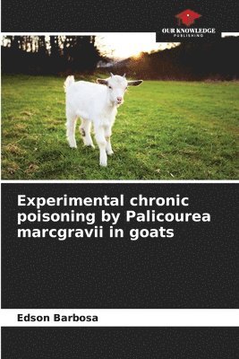 Experimental chronic poisoning by Palicourea marcgravii in goats