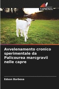 bokomslag Avvelenamento cronico sperimentale da Palicourea marcgravii nelle capre