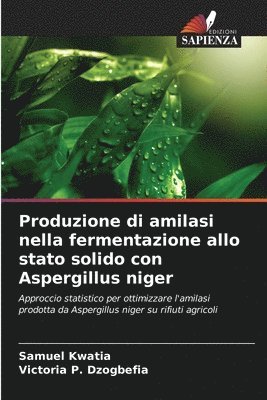 bokomslag Produzione di amilasi nella fermentazione allo stato solido con Aspergillus niger