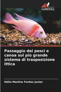 bokomslag Passaggio dei pesci e canoa sul pi grande sistema di trasposizione ittica