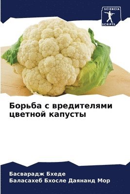bokomslag ?????? ? ??????????? ??????? ???????