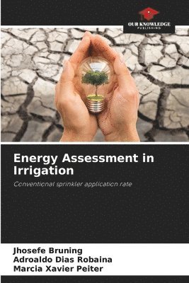 bokomslag Energy Assessment in Irrigation