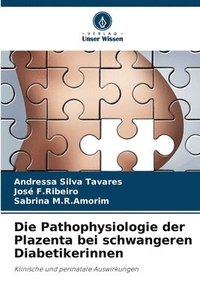 bokomslag Die Pathophysiologie der Plazenta bei schwangeren Diabetikerinnen