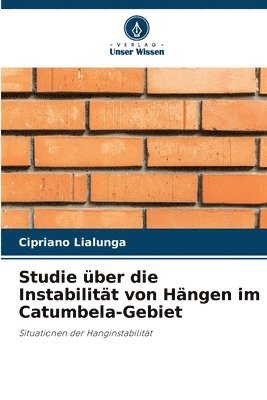 Studie ber die Instabilitt von Hngen im Catumbela-Gebiet 1