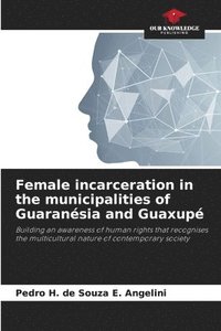 bokomslag Female incarceration in the municipalities of Guaransia and Guaxup