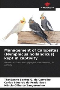 bokomslag Management of Calopsitas (Nymphicus hollandicus) kept in captivity