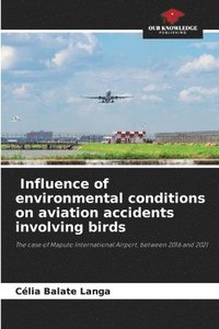 bokomslag Influence of environmental conditions on associated aviation accidents