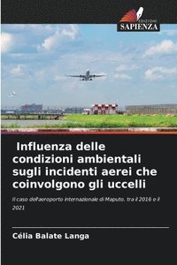 bokomslag Influenza delle condizioni ambientali sugli incidenti aerei associati