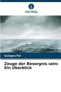 bokomslag Zeuge der Besorgnis sein