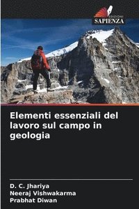 bokomslag Elementi essenziali del lavoro sul campo in geologia