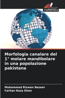 bokomslag Morfologia canalare del 1 molare mandibolare in una popolazione pakistana