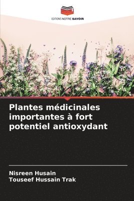 bokomslag Plantes mdicinales importantes  fort potentiel antioxydant