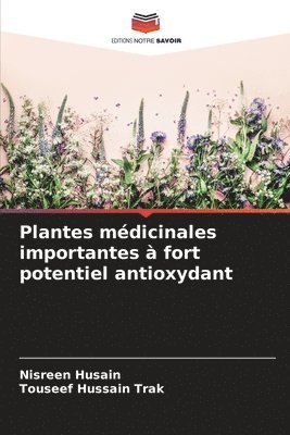 bokomslag Plantes médicinales importantes à fort potentiel antioxydant