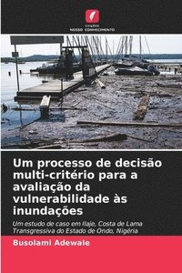 bokomslag Um processo de deciso multi-critrio para a avaliao da vulnerabilidade s inundaes