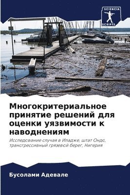 Бусолами Адевале, &#1040;&#1076;&#1077;&#1074;&#1072;&#108, ¿¿¿¿¿¿¿¿ ¿¿¿¿¿¿¿ - Многокритериальное принятие решений для, Häftad