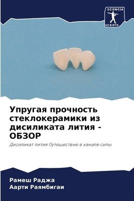 Рамеш Раджа, Аарти Раямбигаи, &#1 &#1056;&#1072;&#1076;&#1078;&#1072;, &#1056;&#1072;&#1103;&#1084;&#1073;&#108, ¿¿¿¿¿ ¿¿¿¿¿, ¿¿¿¿¿ ¿¿¿¿¿¿¿¿¿ - Упругая прочность стеклокерамики из диси, Häftad