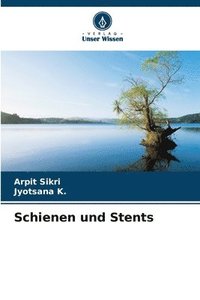 bokomslag Schienen und Stents