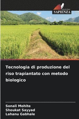 bokomslag Tecnologia di produzione del riso trapiantato con metodo biologico