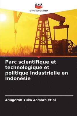 bokomslag Parc scientifique et technologique et politique industrielle en Indonsie