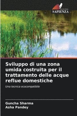 Sviluppo di una zona umida costruita per il trattamento delle acque reflue domestiche 1