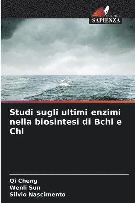 bokomslag Studi sugli ultimi enzimi nella biosintesi di Bchl e Chl