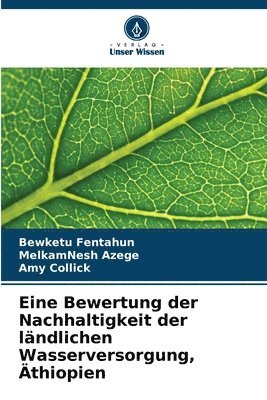 bokomslag Eine Bewertung der Nachhaltigkeit der ländlichen Wasserversorgung, Äthiopien