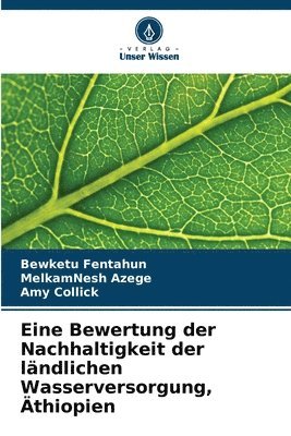 bokomslag Eine Bewertung der Nachhaltigkeit der lndlichen Wasserversorgung, thiopien