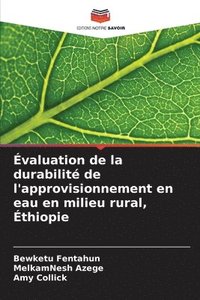 bokomslag valuation de la durabilit de l'approvisionnement en eau en milieu rural, thiopie