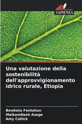 bokomslag Una valutazione della sostenibilit dell'approvvigionamento idrico rurale, Etiopia