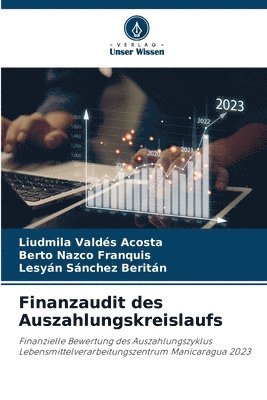 bokomslag Finanzaudit des Auszahlungskreislaufs