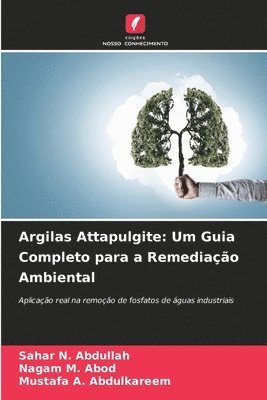 Argilas Attapulgite 1