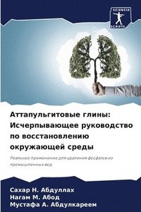 bokomslag &#1040;&#1090;&#1090;&#1072;&#1087;&#1091;&#1083;&#1100;&#1075;&#1080;&#1090;&#1086;&#1074;&#1099;&#1077; &#1075;&#1083;&#1080;&#1085;&#1099;