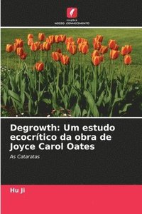 bokomslag Degrowth