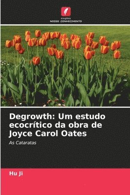 bokomslag Degrowth