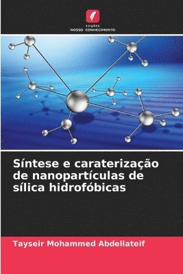 bokomslag Sntese e caraterizao de nanopartculas de slica hidrofbicas